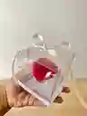 Rosa Preserva Roja