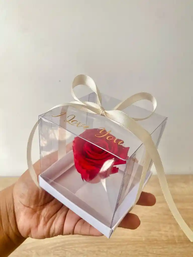 Rosa Preserva Roja