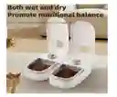 Comedero De Mascota Con Sensor