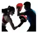 Par De Manoplas Para Boxeo Artes Marciales Karate