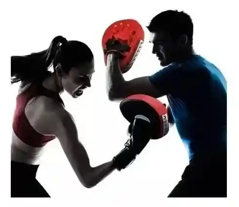 Par De Manoplas Para Boxeo Artes Marciales Karate