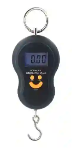 Balanza Bascula Pesa Dinamometro Digital 50 Kg Maleta Mano