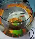 Acuario Bombonera