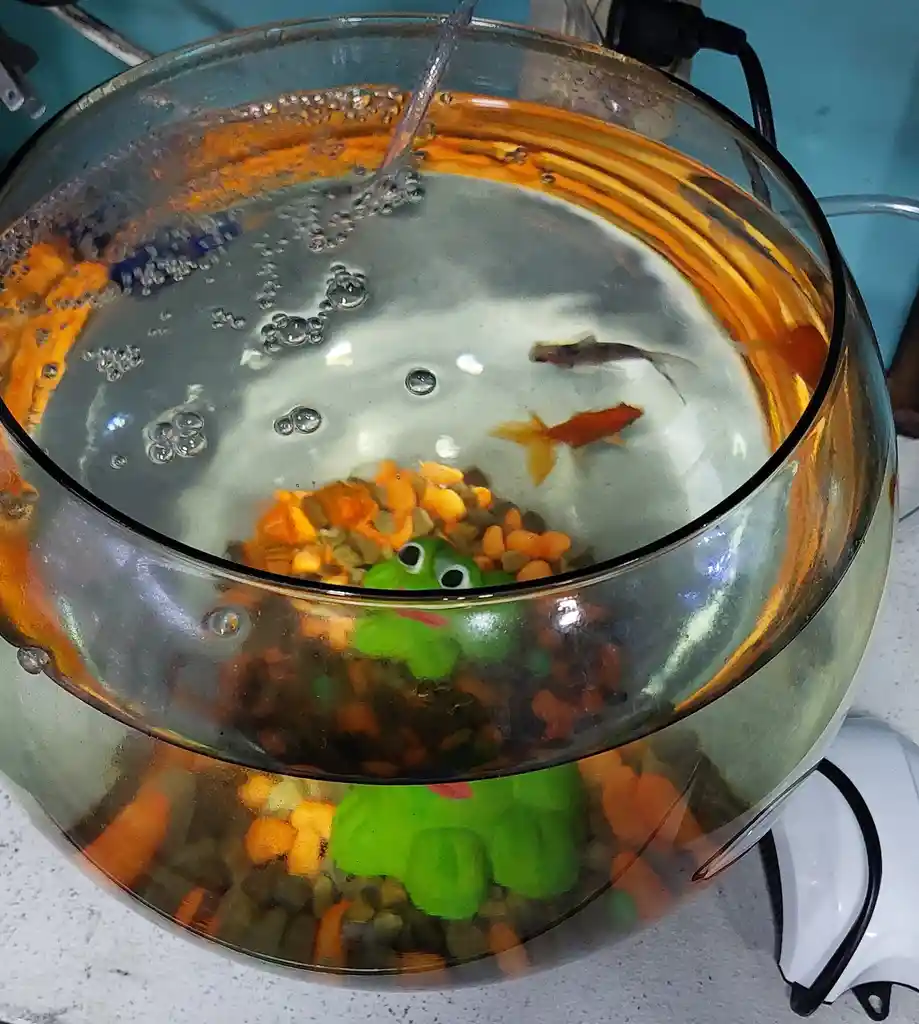 Acuario Bombonera