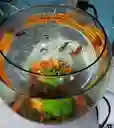 Acuario Bombonera