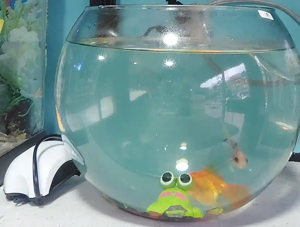 Acuario Bombonera