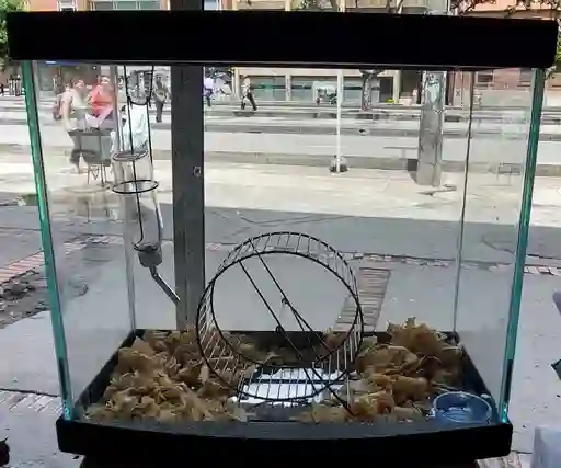Jaula Para Hamster En Vidrio
