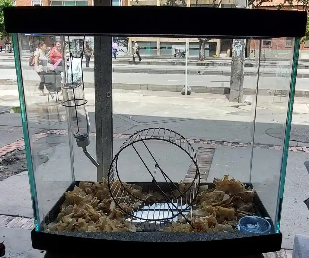 Jaula Para Hamster En Vidrio