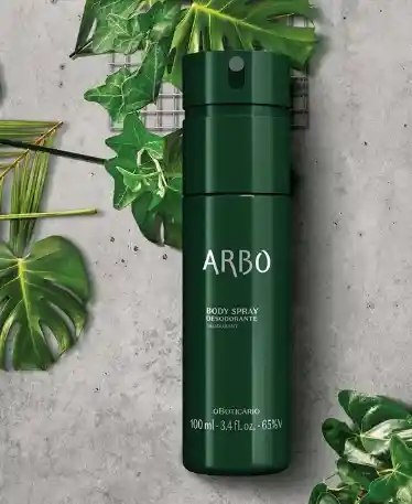 Desodorante Body Spray De Hombre