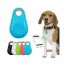 Combo Cepillo Para Mascotas 2en1 + Mini Gps Localizador Anti-2
