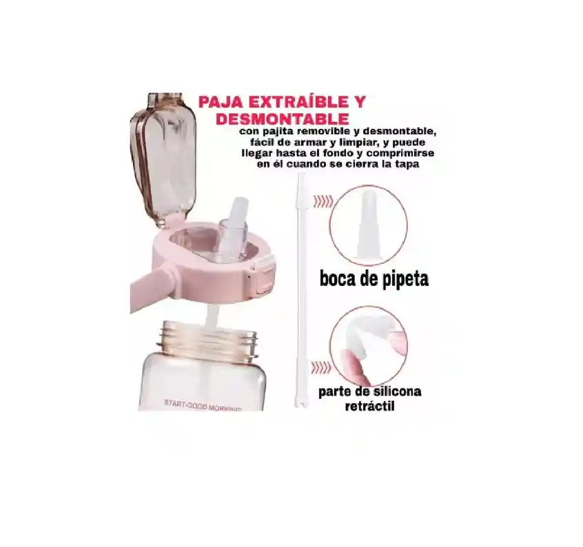 Termo Botella Agua Gimnasio Gym, Estruche Funda + Cargadera