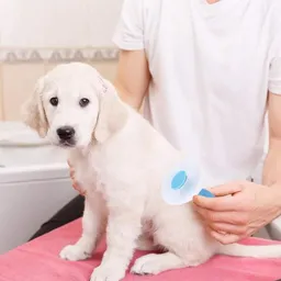 Peine Para Mascotas Cepillo Quita Nudos Perros Gatos
