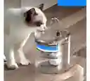 Fuente Dispensadora Para Gato