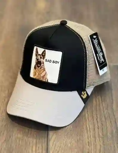 Gorra 1.1 Goorin Bad Boy (malla)