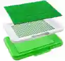 Tapete Mediano Para Mascota Entrenamiento Baño Puppy Potty