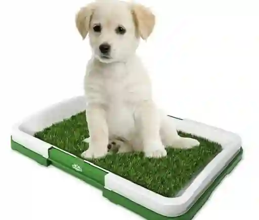 Tapete Mediano Para Mascota Entrenamiento Baño Puppy Potty
