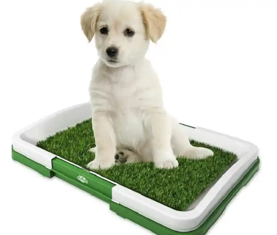 Tapete Mediano Para Mascota Entrenamiento Baño Puppy Potty