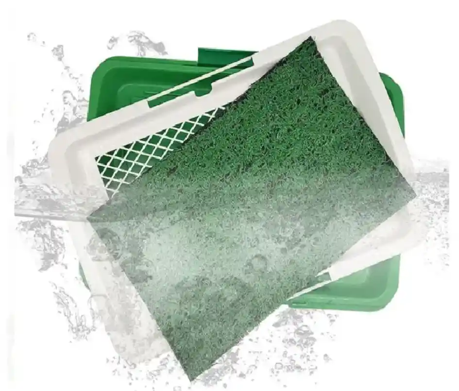 Tapete Mediano Para Mascota Entrenamiento Baño Puppy Potty