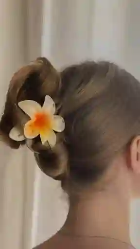 Accesorio Para El Cabello