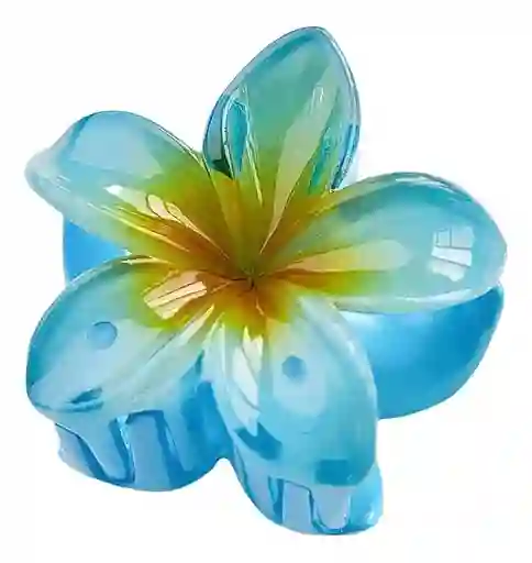 Accesorio Para El Cabello
