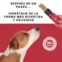 Petmeal Ice Cream Para Perros