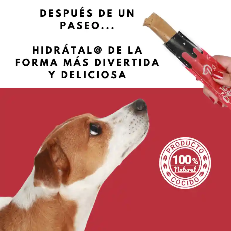 Petmeal Ice Cream Para Perros