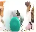Dispensador Didactico Para Mascotas Juguete Interactivo