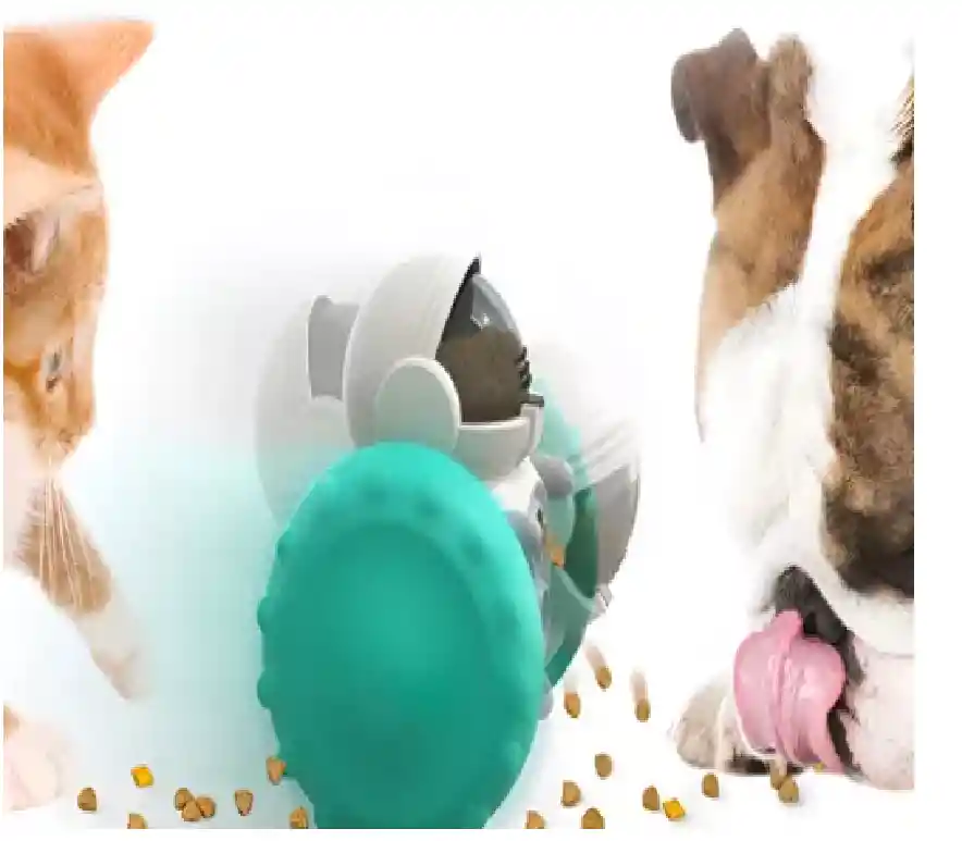 Dispensador Didactico Para Mascotas Juguete Interactivo