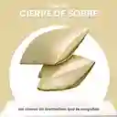 Fundas Para Almohada Satín Seda Cuida Cabello Piel Anti Friz Gold Innovo