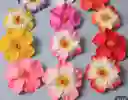 Accesorio Para El Cabello Flor X 1unidad Roja