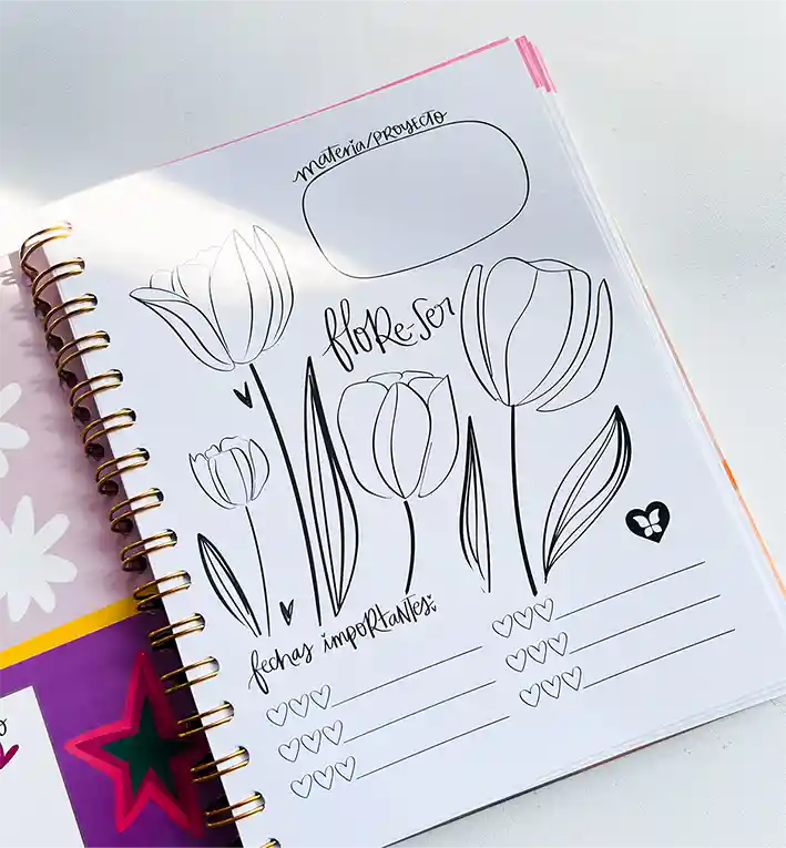 Cuaderno Mediano 7 Materias