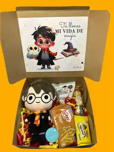 Detalle Regalo Ancheta De Harry Potter