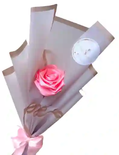 Rosa Eterna Sencilla Fucsia