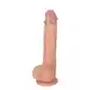 Piercing Para El Pene