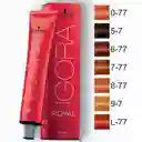 Tintura Igora Royal 60 Gr