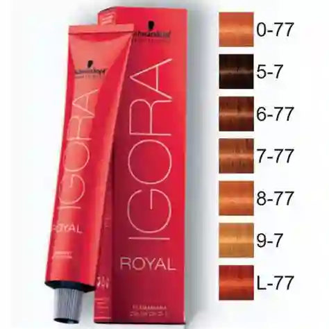 Tintura Igora Royal 60 Gr