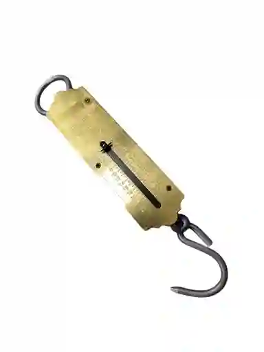 Pesa 25 Kg