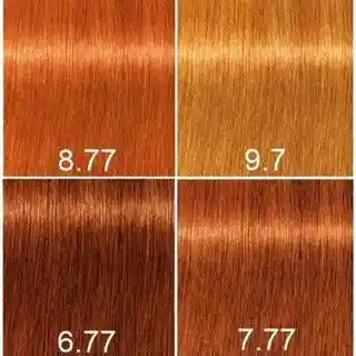 Tintura Igora Royal 60 Gr