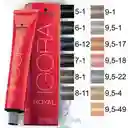 Tintura Igora Royal 60 Gr