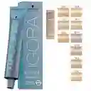 Tintura Igora Royal 60 Gr