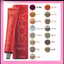 Tintura Igora Royal 60 Gr