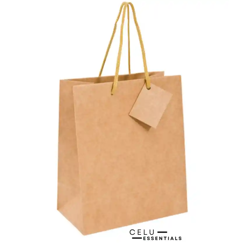 Bolsa De Papel Cargadera Para Regalo 26 X 39 Cm