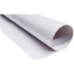 Papel Periodico *5 Pliegos