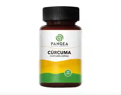 Cúrcuma Pangex 60 Cps