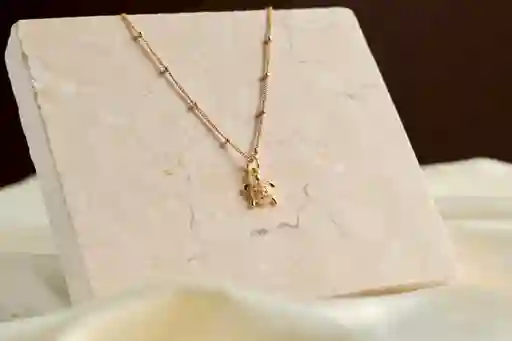 Cadena Tortuga