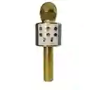 Micrófono Parlante Karaoke Bluetooth Portátil Inalámbrico