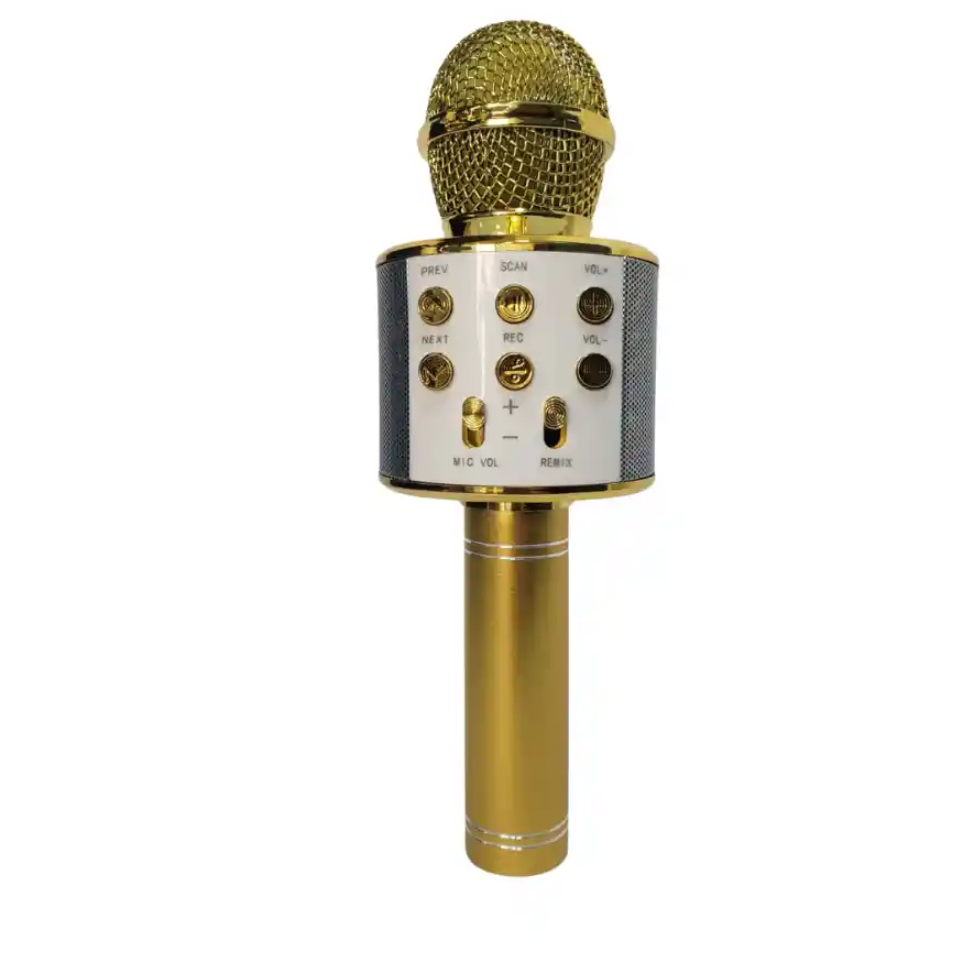 Micrófono Parlante Karaoke Bluetooth Portátil Inalámbrico