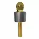 Micrófono Parlante Karaoke Bluetooth Portátil Inalámbrico