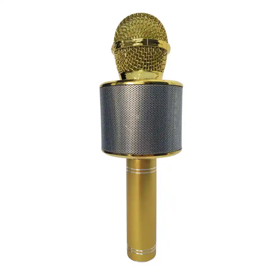 Micrófono Parlante Karaoke Bluetooth Portátil Inalámbrico