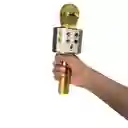 Micrófono Parlante Karaoke Bluetooth Portátil Inalámbrico